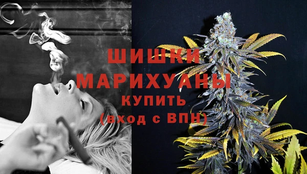 Альфа ПВП Корсаков