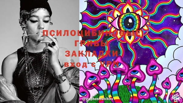 Альфа ПВП Корсаков