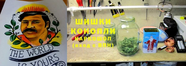 Альфа ПВП Корсаков