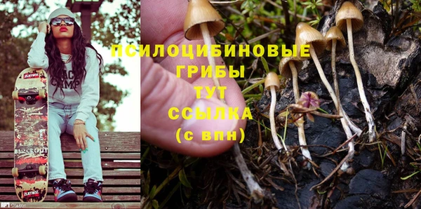 Альфа ПВП Корсаков