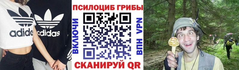 Купить где  Дюртюли  Галлюциногенные грибы ЛСД 